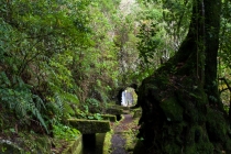 Levada Do Norte, Madeira, 02.03.2013 © by akkifoto.de