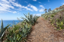 Aufstieg nach Fajã Da Ovelha, Madeira, 2013 © by akkifoto.de