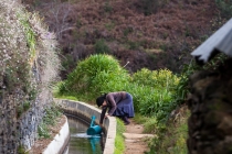 Gartenarbeit, Levada Nova, Madeira, 2013 © by akkifoto.de