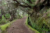 Levada do Risco, Madeira, 2013 © by akkifoto.de