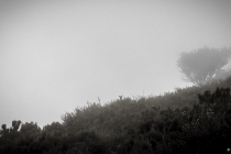 Wolken um Bica da Cana, Madeira, 2013 © by akkifoto.de