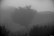 Wolken, Dunst und Schemen, Madeira, 2013 © by akkifoto.de