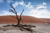 Tall One, Dead Vlei, Hardap, 19.10.2013 © by akkifoto.de