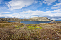 Heddersvatn, Hjartdal, Telemark, Østlandet, Norwegen, 21. Juni 2019 © by akkifoto.de